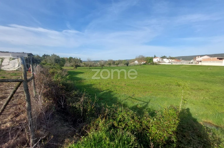 Terreno para Venda em Porto de Mós - São João Baptista e São Pedro Foto 13
