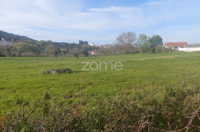 Terreno para Venda em Porto de Mós - São João Baptista e São Pedro Foto 15