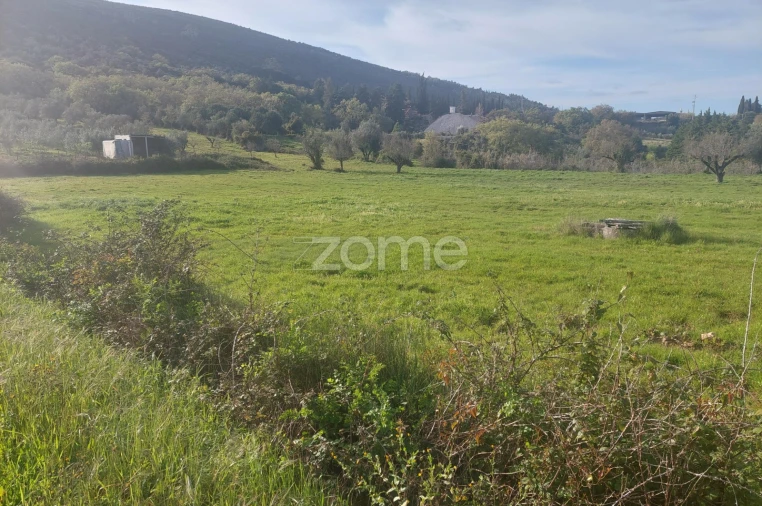 Terreno para Venda em Porto de Mós - São João Baptista e São Pedro Foto 16
