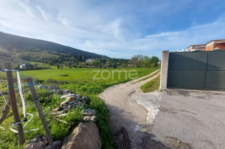 Terreno para Venda em Porto de Mós - São João Baptista e São Pedro Foto 18