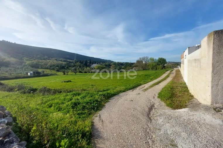 Terreno para Venda em Porto de Mós - São João Baptista e São Pedro Foto 19
