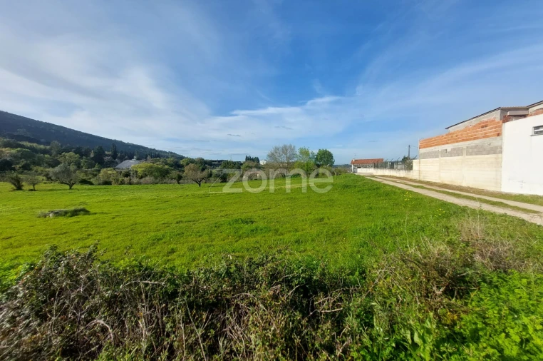 Terreno para Venda em Porto de Mós - São João Baptista e São Pedro Foto 3