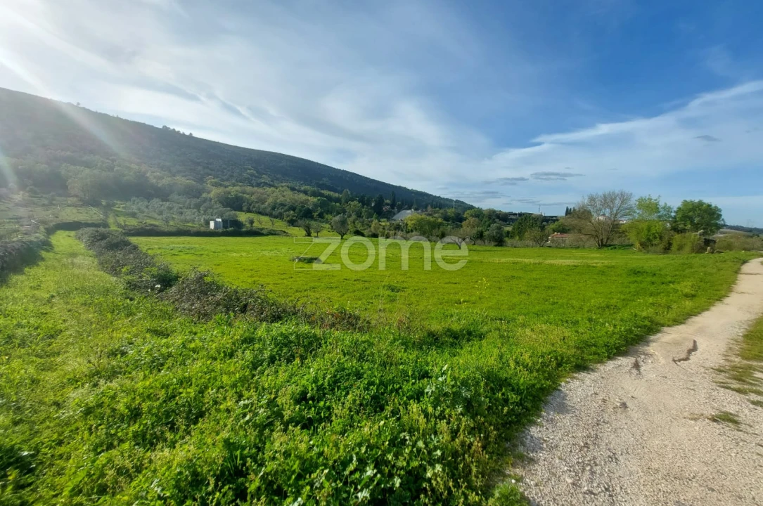 Terreno para Venda em Porto de Mós - São João Baptista e São Pedro Foto 9