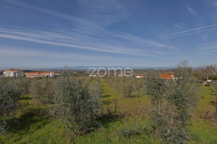 Moradia T5 para Venda em Oliveira do Hospital e São Paio de Gramaços Foto 67