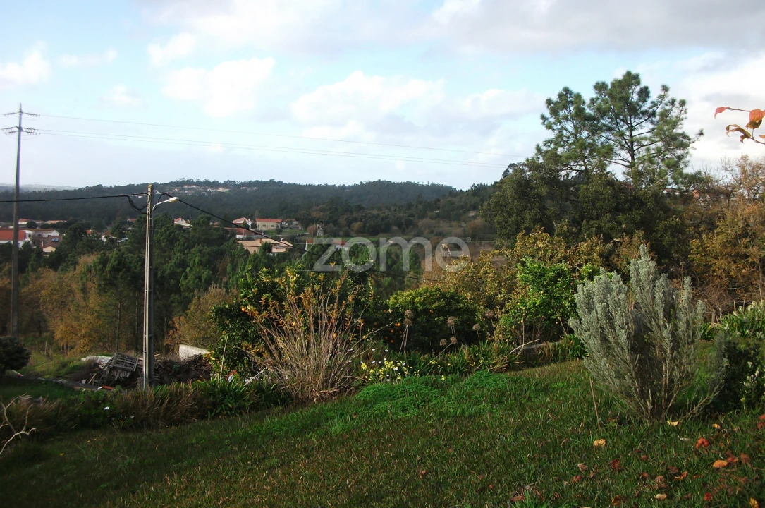 Moradia T4 para Venda em Almagreira Foto 26