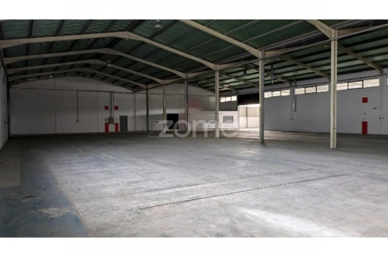 Terreno Comércio / Armazém para Venda em Nelas Foto 8