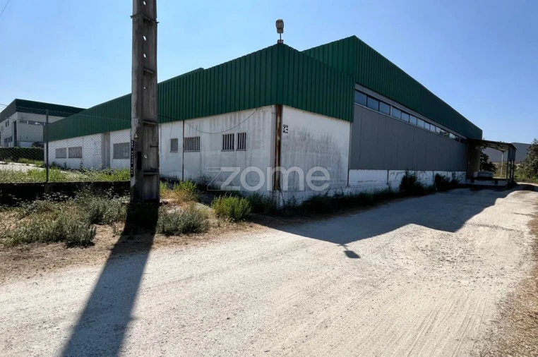 Terreno Comércio / Armazém para Venda em Nelas Foto 12