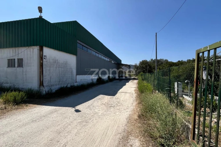 Terreno Comércio / Armazém para Venda em Nelas Foto 13