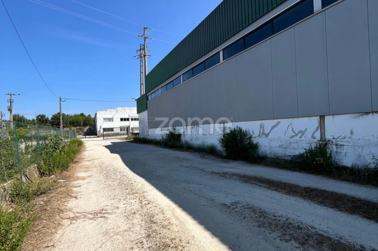 Terreno Comércio / Armazém para Venda em Nelas Foto 15