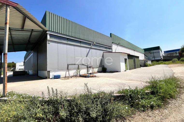 Terreno Comércio / Armazém para Venda em Nelas Foto 16