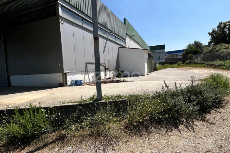 Terreno Comércio / Armazém para Venda em Nelas Foto 18