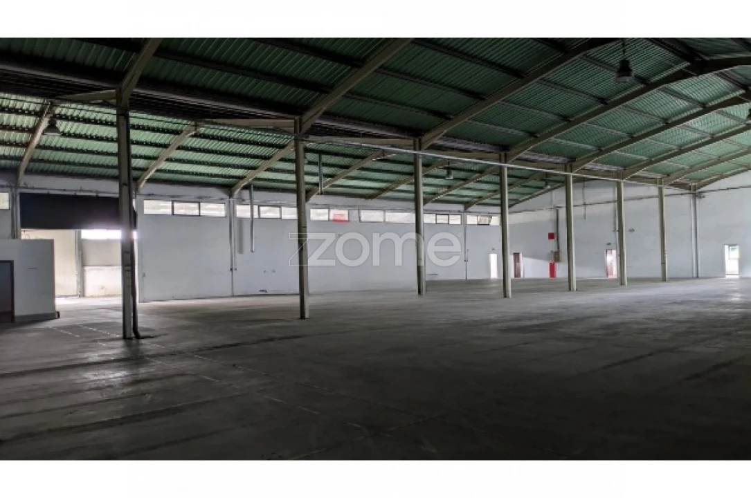 Terreno Comércio / Armazém para Venda em Nelas Foto 6