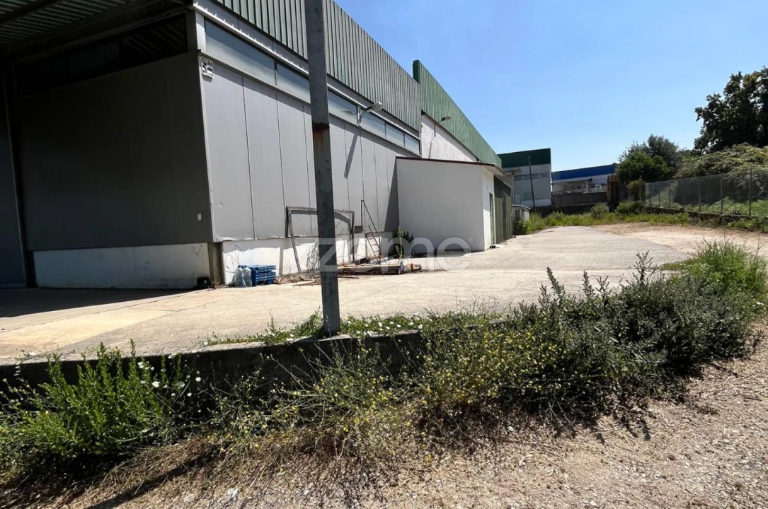 Terreno Comércio / Armazém para Venda em Nelas Foto 18