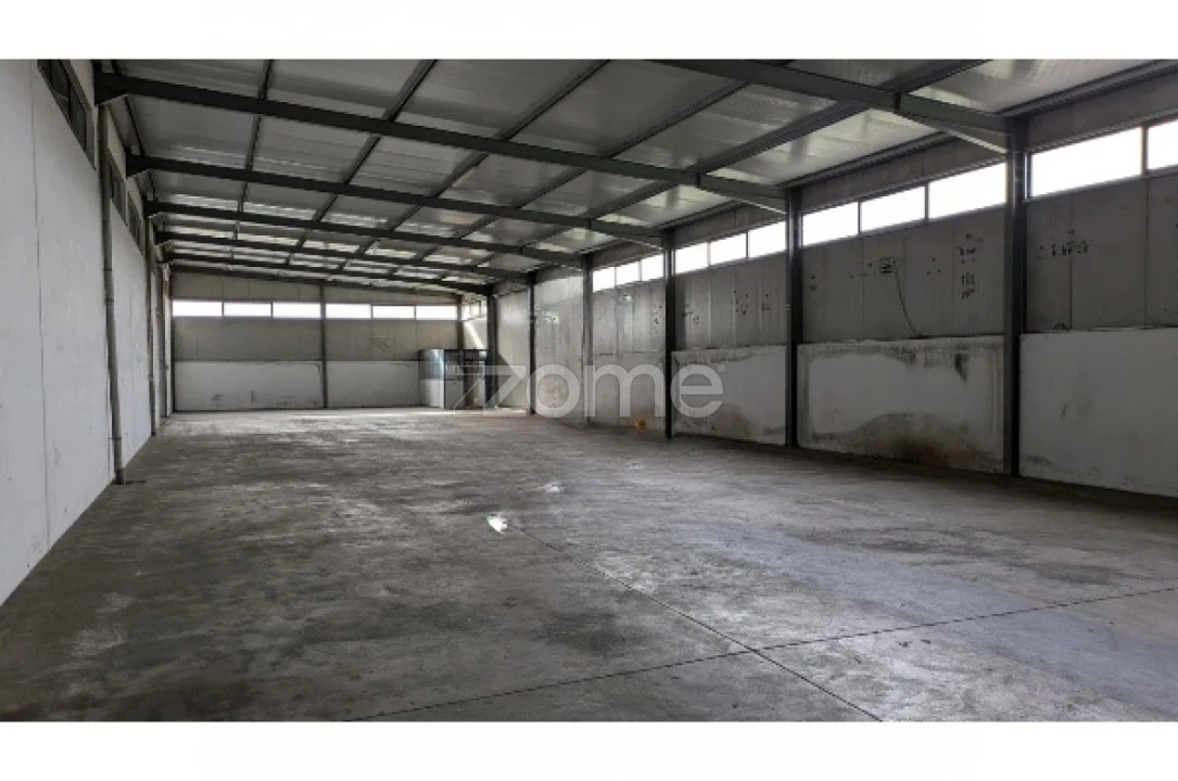 Terreno Comércio / Armazém para Venda em Nelas Foto 7