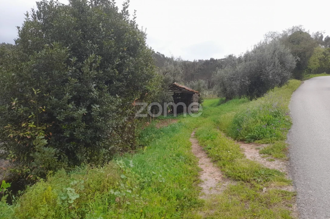 Terreno para Venda em Vinha da Rainha Foto 6