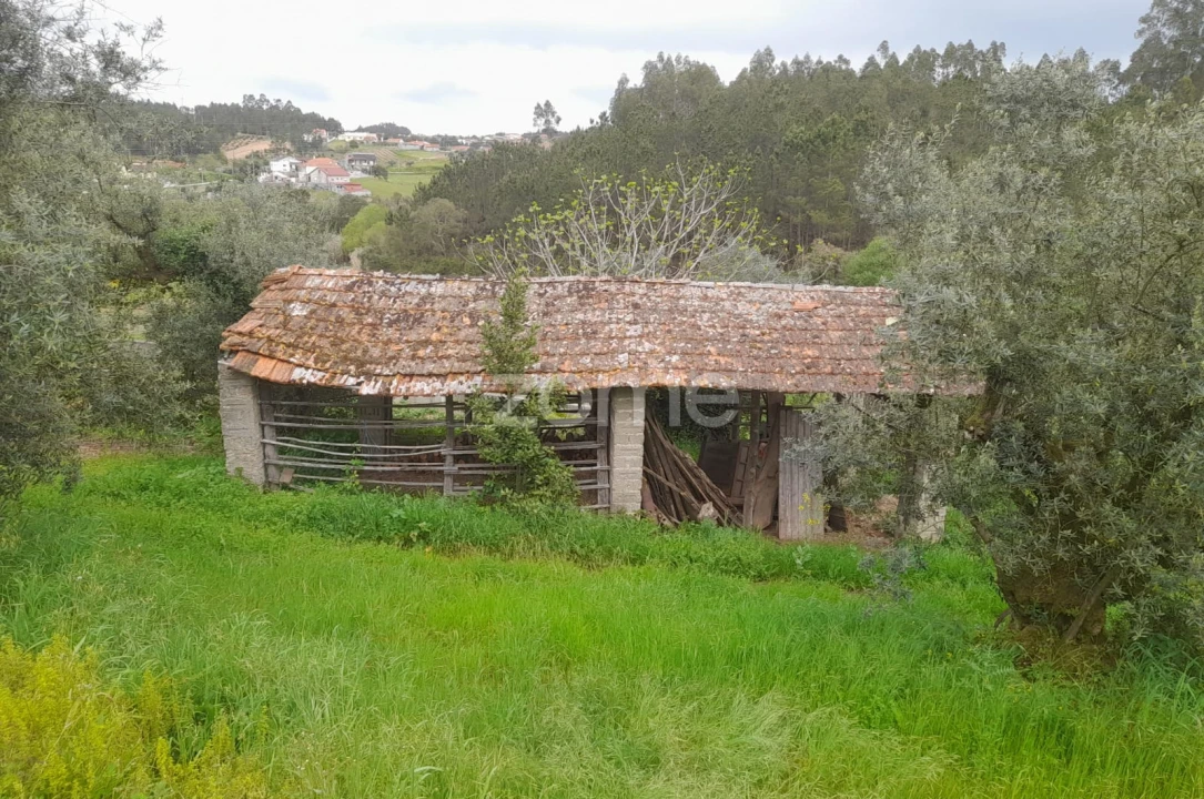 Terreno para Venda em Vinha da Rainha Foto 3