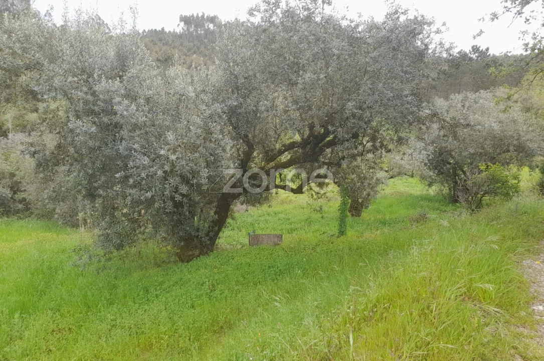 Terreno para Venda em Vinha da Rainha Foto 4