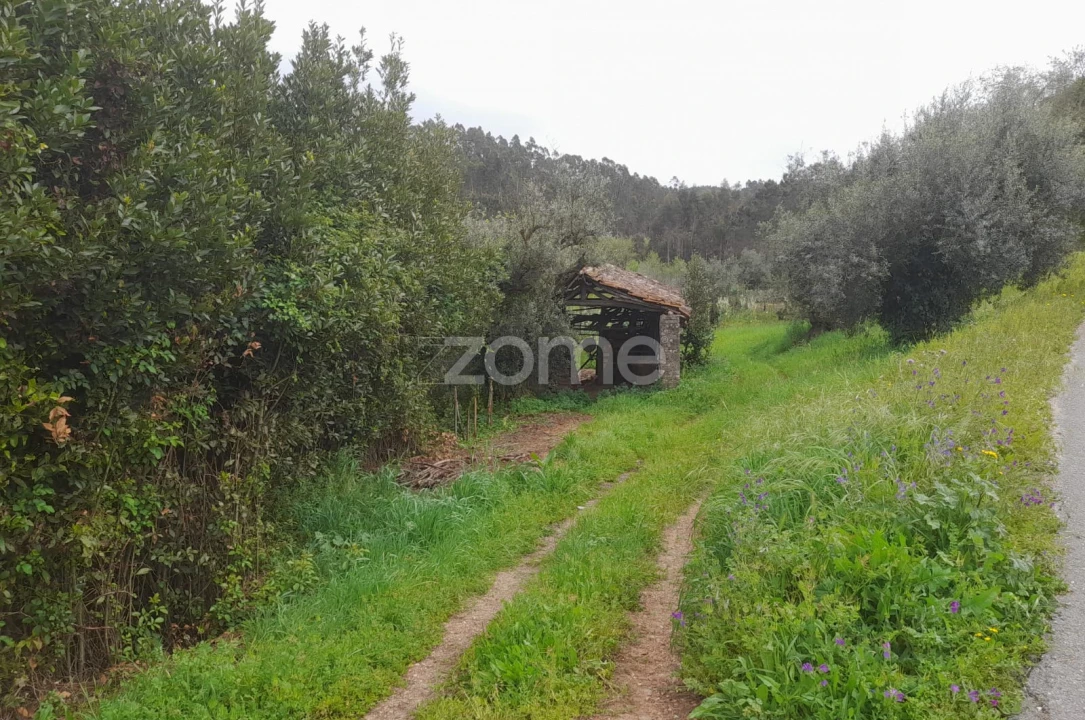 Terreno para Venda em Vinha da Rainha Foto 5