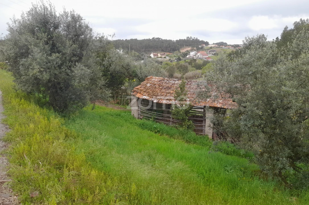 Terreno para Venda em Vinha da Rainha Foto 16