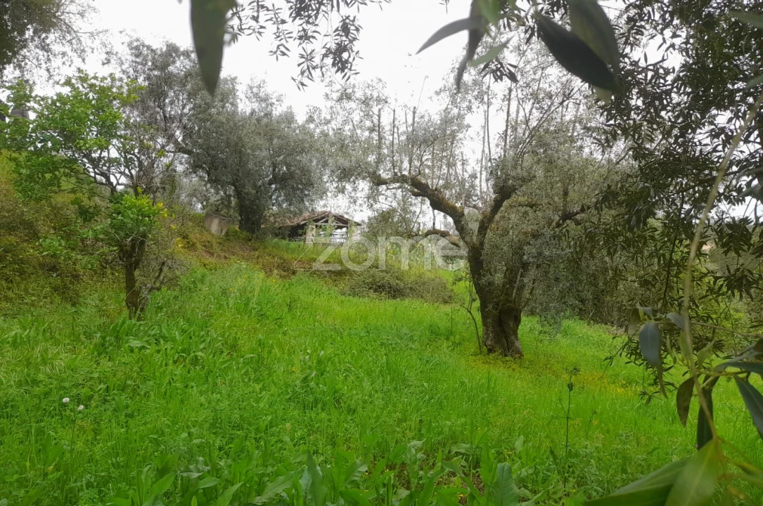 Terreno para Venda em Vinha da Rainha Foto 1