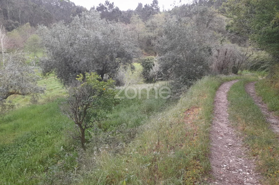Terreno para Venda em Vinha da Rainha Foto 20