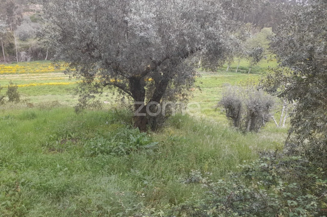 Terreno para Venda em Vinha da Rainha Foto 23