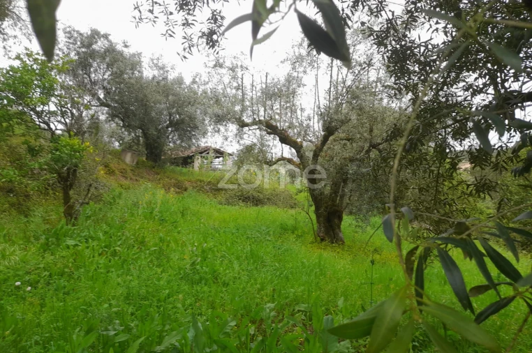 Terreno para Venda em Vinha da Rainha Foto 2