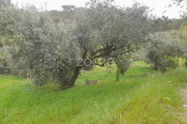 Terreno para Venda em Vinha da Rainha Foto 4