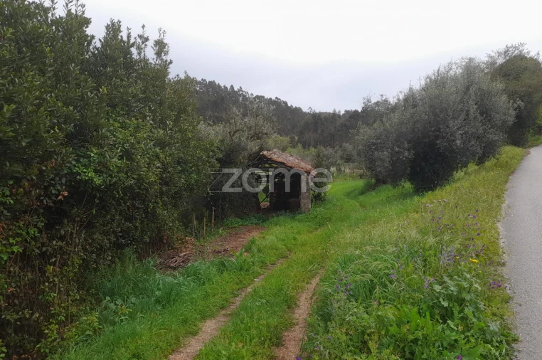 Terreno para Venda em Vinha da Rainha Foto 7