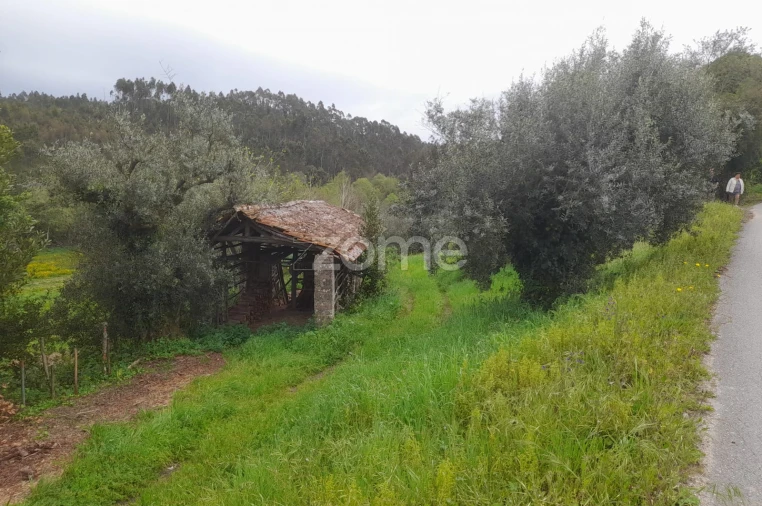 Terreno para Venda em Vinha da Rainha Foto 8