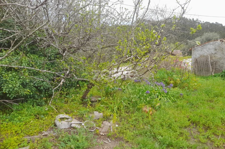 Terreno para Venda em Vinha da Rainha Foto 9