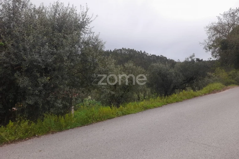 Terreno para Venda em Vinha da Rainha Foto 12
