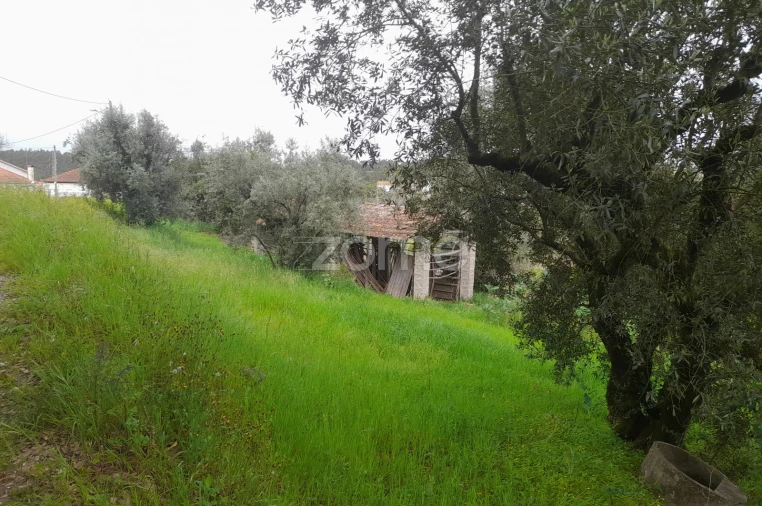 Terreno para Venda em Vinha da Rainha Foto 14