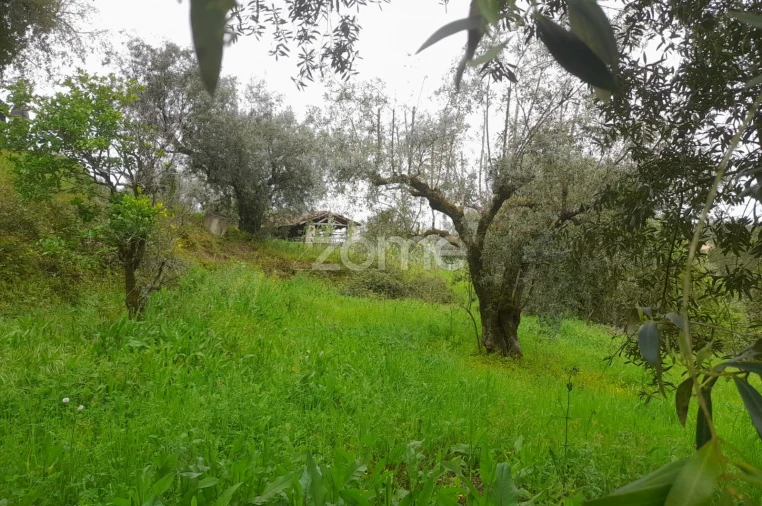Terreno para Venda em Vinha da Rainha Foto 15