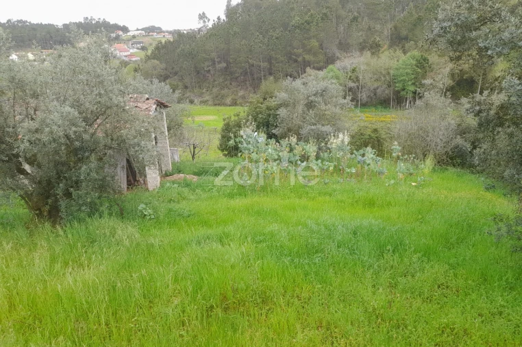 Terreno para Venda em Vinha da Rainha Foto 17