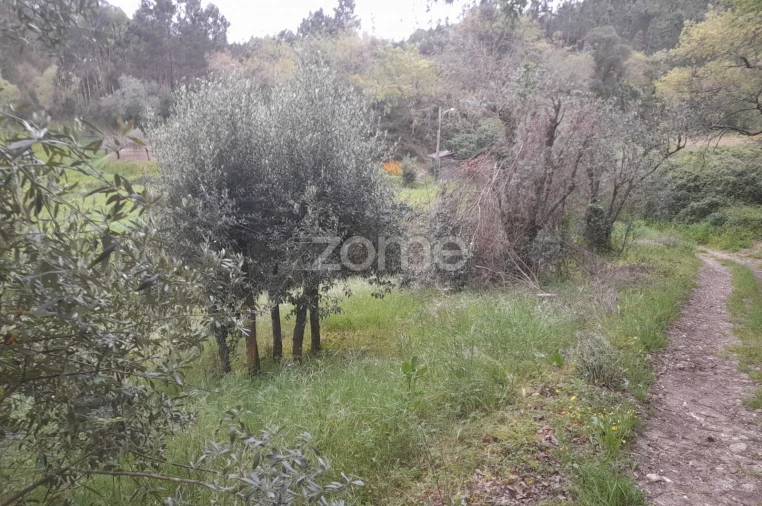 Terreno para Venda em Vinha da Rainha Foto 21