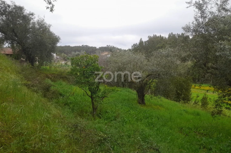 Terreno para Venda em Vinha da Rainha Foto 22