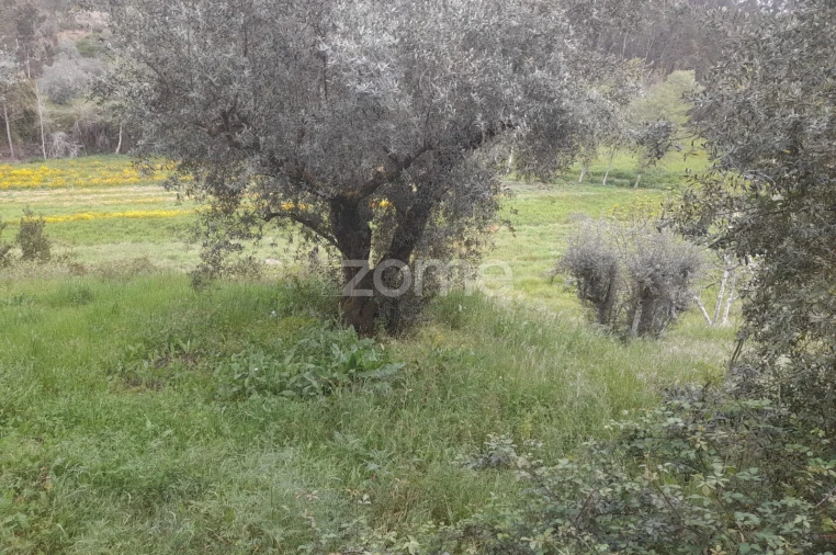 Terreno para Venda em Vinha da Rainha Foto 23