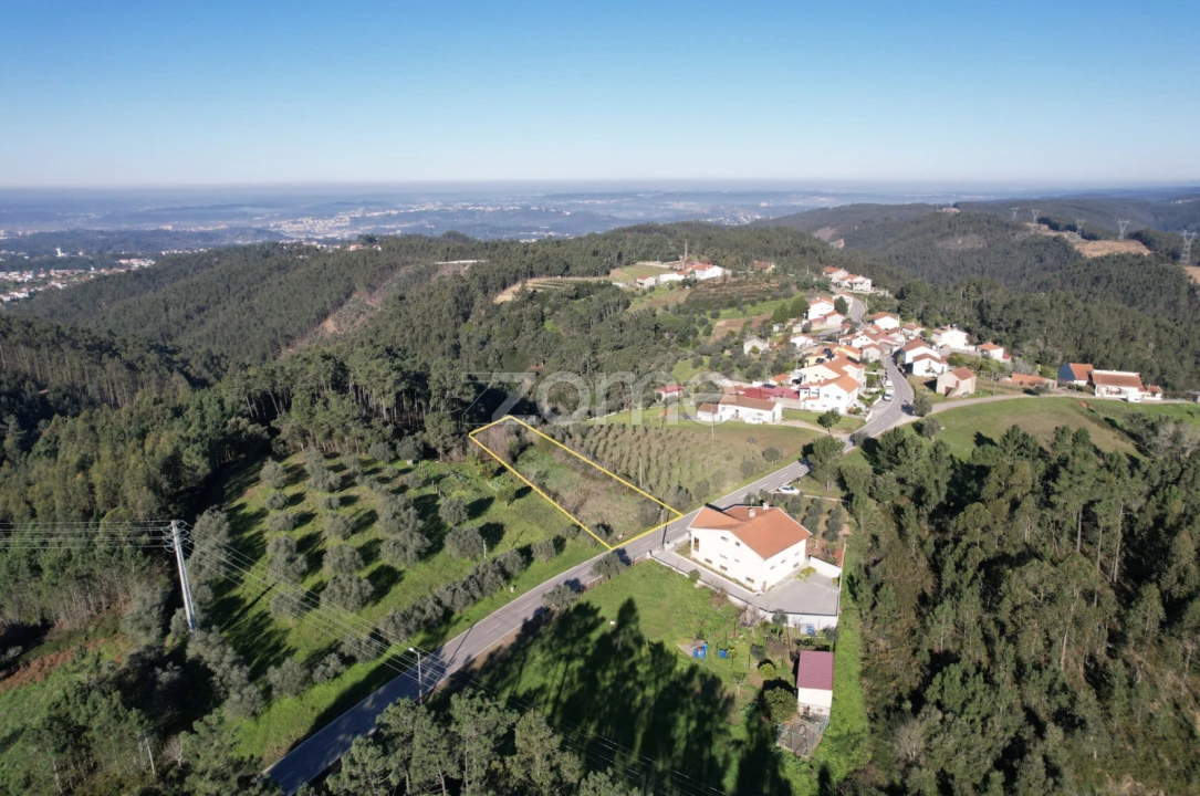Terreno para Venda em Santo Antonio dos Olivais Foto 9