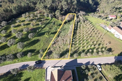 Terreno para Venda em Santo Antonio dos Olivais