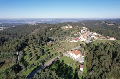 Terreno para Venda em Santo Antonio dos Olivais