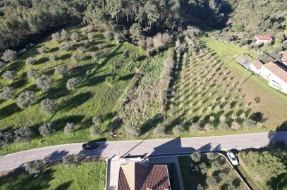 Terreno para Venda em Santo Antonio dos Olivais