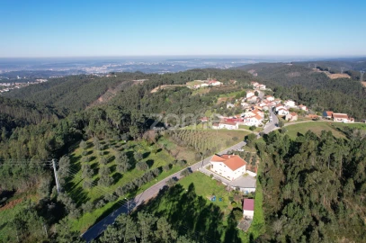 Terreno para Venda em Santo Antonio dos Olivais