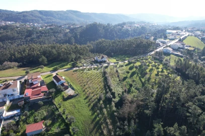 Terreno para Venda em Santo Antonio dos Olivais