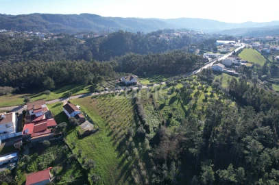 Terreno para Venda em Santo Antonio dos Olivais