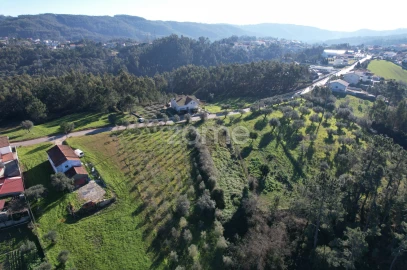 Terreno para Venda em Santo Antonio dos Olivais