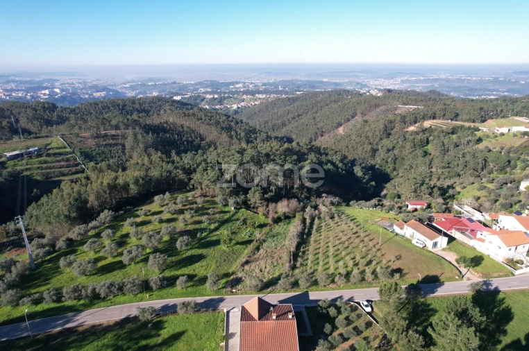 Terreno para Venda em Santo Antonio dos Olivais Foto 11