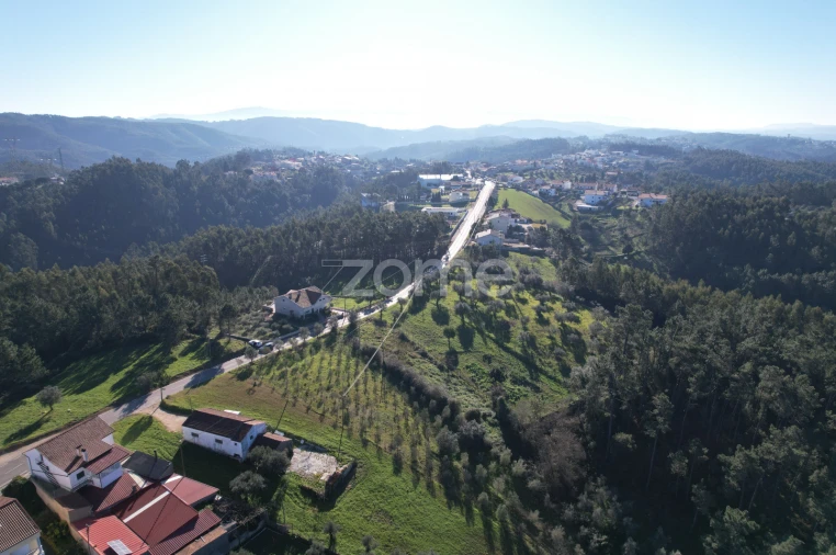 Terreno para Venda em Santo Antonio dos Olivais Foto 13