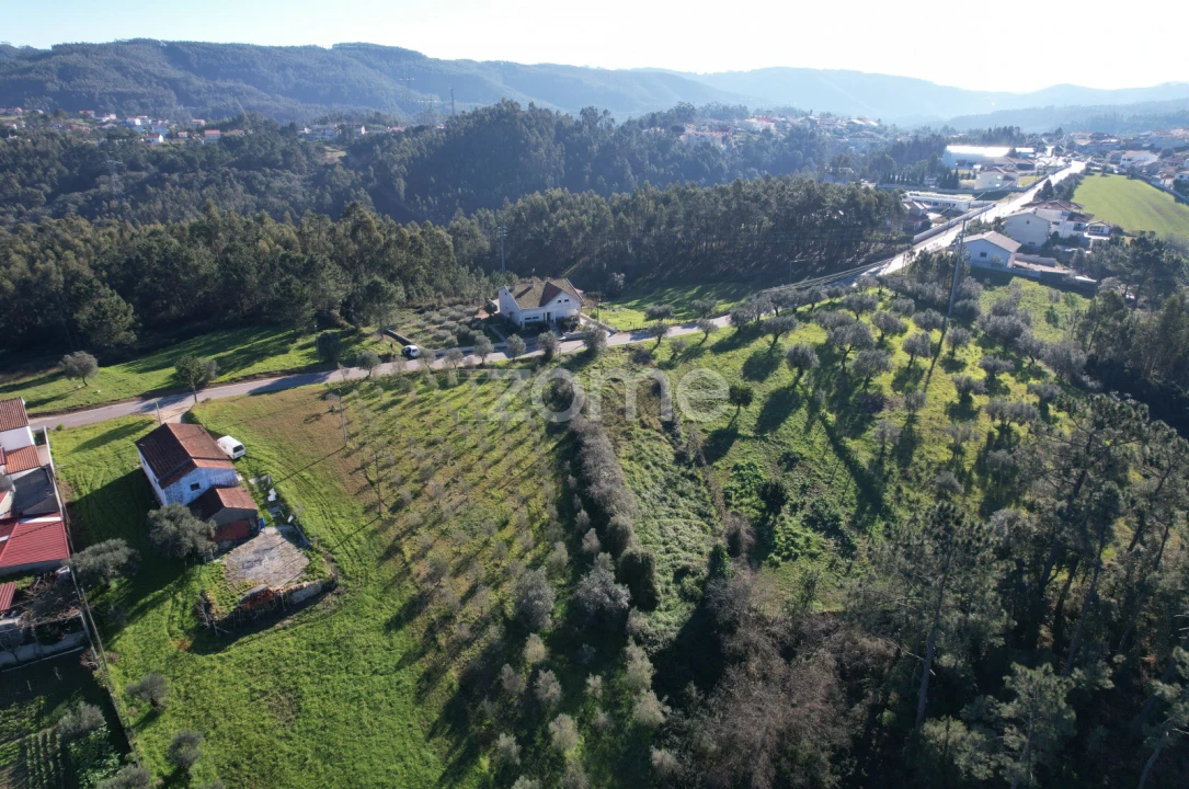 Terreno para Venda em Santo Antonio dos Olivais Foto 16