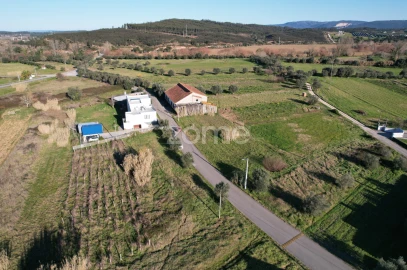 Terreno para Venda em Soure